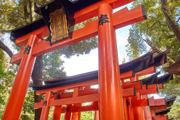 Tori gates in Kyoto