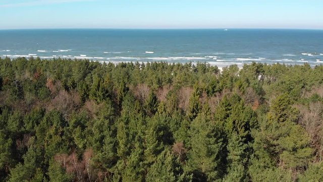 Morze Bałtyckie Bałtyk las drzewa wybrzeże dębki karwia