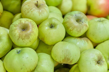 Background and texture of green apples.