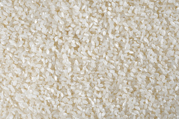White uncooked rice background. Indian cuisine ingredients. Close-up.