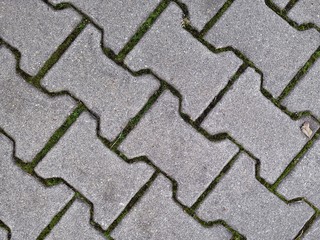 Obraz premium Pavement - gray stone pavement background