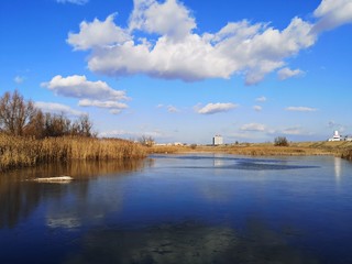 Reeds on the lake - delta landscape