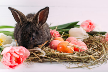 Easter bunny with easter eggs with tulips and a nest of hay. Positive spring easter composition.