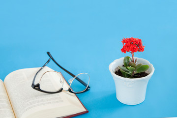 book and  flower in pot on table