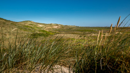 The Danish west coast that is filled with beautiful scenery and dunes