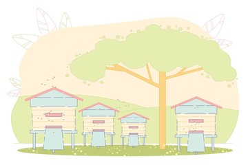 Hives on Field, Beekeeping, Apiculture Hobby.