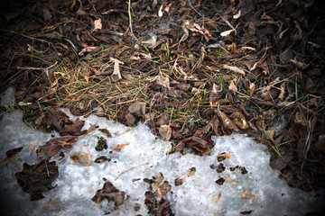 The beginning of spring in Russia. Garbage, dirt, surrounding nature. The problems of mankind. Protection of Nature