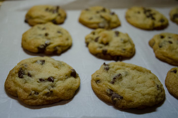 Fresh Chocolate Chip Cookies