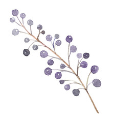 watercolor hand drawn branch with purple berries isolated on white background