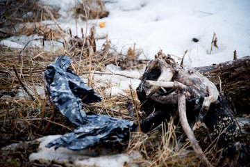 The beginning of spring in Russia. Garbage, dirt, surrounding nature. The problems of mankind. Protection of Nature