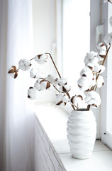 Dried cotton plants in a vase on a white background. White on White