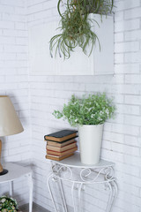 Green plant in a decorative wooden vase in a white room on the background with a book shelf. Decorative interior concept.