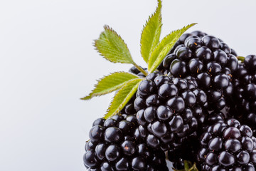 juicy blackberries on a white acrylic background