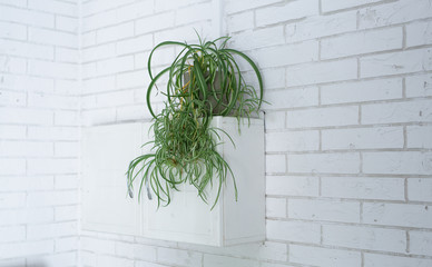 Empty room in white  color with modern shelf, home decor and  brick wall. White scandinavian interior design  with green room flowers. Beautiful white decoration