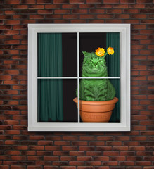 The green cat cactus in a flower clay pot is on the windowsill of a red brick house.