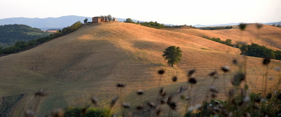 Kleine Siedlung auf einem Hügel in der Crete Senesi
