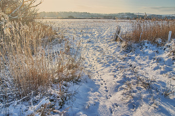 Country snow scene landscape across fields