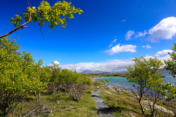 Fototapeta na wymiar Summer landscape in green and blue skies in northern Norway