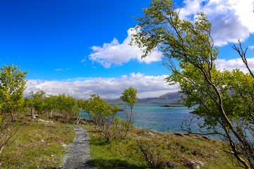 Summer landscape in green and blue skies in northern Norway