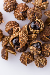 fragrant Sichuan pepper on white acrylic background