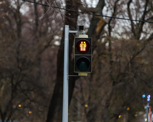 Red traffic light of two friends hugging on the streets of Vienna.