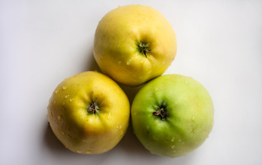 three juicy green and yellow apples on a white background close-up
