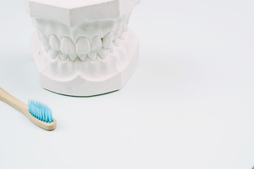 Fototapeta na wymiar The concept of how to properly brush your teeth. bamboo toothbrushe lie on a blue background and next to the plaster model of the human jaw. Oral care Orthodontist.