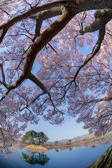 六堂の魚眼（縦）