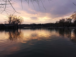 Orange sunset over the lake  with tree silhouettes. Violet light at dusk