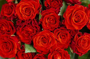 Natural red roses background. Bouquet of red roses on a black background. Top view. close up on red roses.
