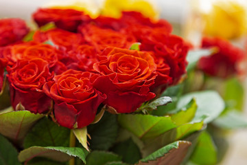 Natural red roses background. Bouquet of red roses on a black background. Top view. close up on red...