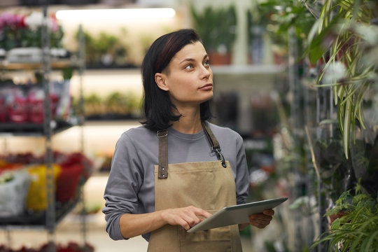 Waist up portrait of female business owner using digital tablet while standing in flower shop, copy space