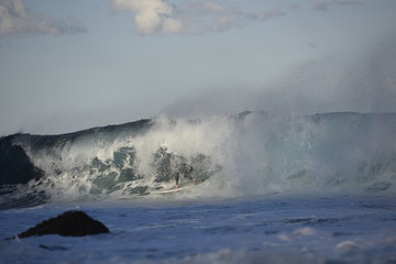 Surfer surfing at sunset, Bondi Beach, Sydney