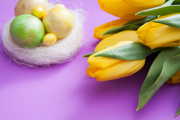 Yellow tulips and nest with eggs on a purple background. Easter composition with copy space.