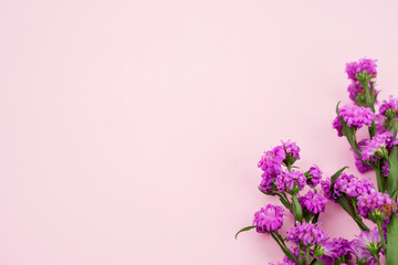 Pink copy space background with purple flower