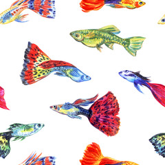 Fototapeta na wymiar Guppy aquarium fish seamless pattern on white background, watercolor illustration, print for fabric, background for various designs.