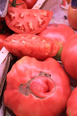 Tomatoes at the market