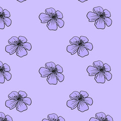 Cherry blossom purple violet pattern blooming spring flowers floral botanical background illustration for card design