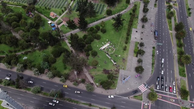 Mandale on the floor made with flowers on park 2