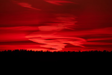 Abstract looking sunset, nearly as a flame, behind forest.