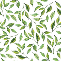 Green leaves seamless pattern. Watercolor background. High quality 300 dpi. Design for fabric, scrapbooking, packaging paper, wallpaper, wrap