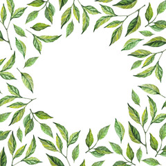 Floral pattern. Watercolor leaves and branches frame. Perfect for Invitation cards template, scrapbooking, eco-style party design, photo and text. High quality 300 dpi.
