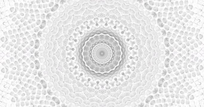 Skin snake background White snake skin texture Close-up 