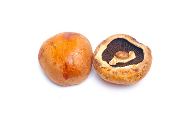 Portobello mushrooms isolated on white background