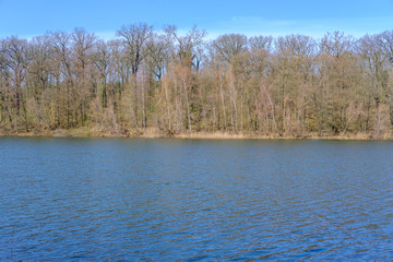 Lake in Early Spring