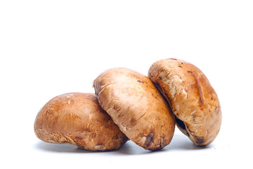 Portobello mushrooms isolated on white background