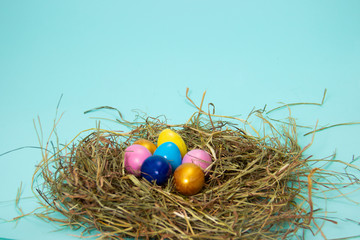colorful eggs in nest on hay in basket on tiffany blue background.