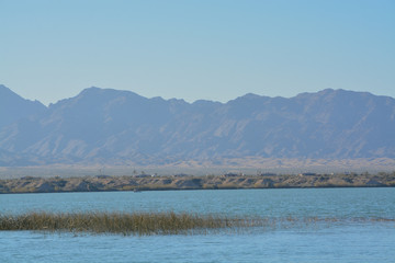 Fototapeta na wymiar Lake Havasu National Wildlife Refuge on the Colorado River in Mohave County, Arizona USA
