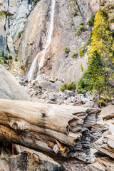 Yosemite National Park Valley, beautiful view of the waterfall, by the end of Autumn and beginning of Winter Season, California, United States of America.