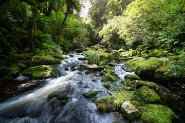 Naklejka na ściany i meble Beautiful waterfall in New Zealand